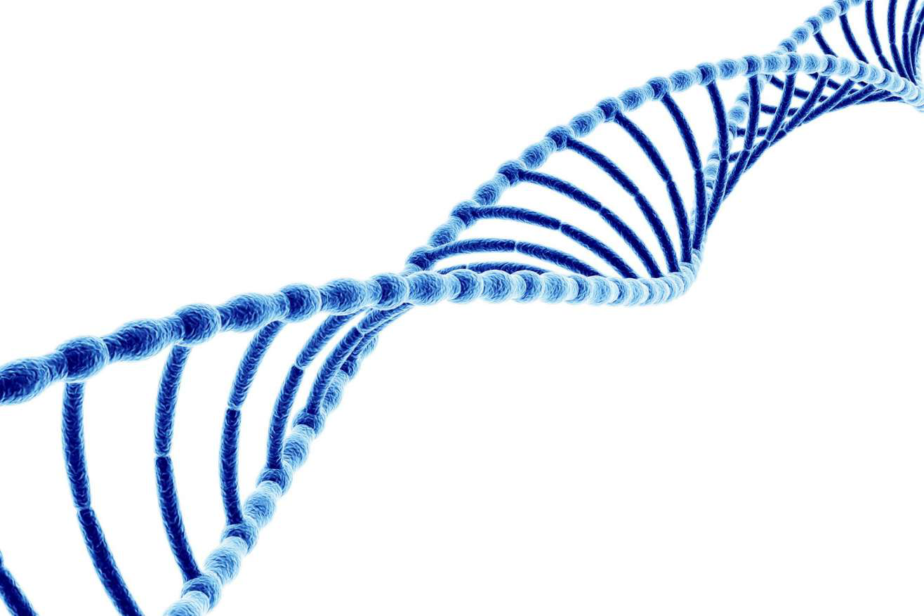 DNA helix